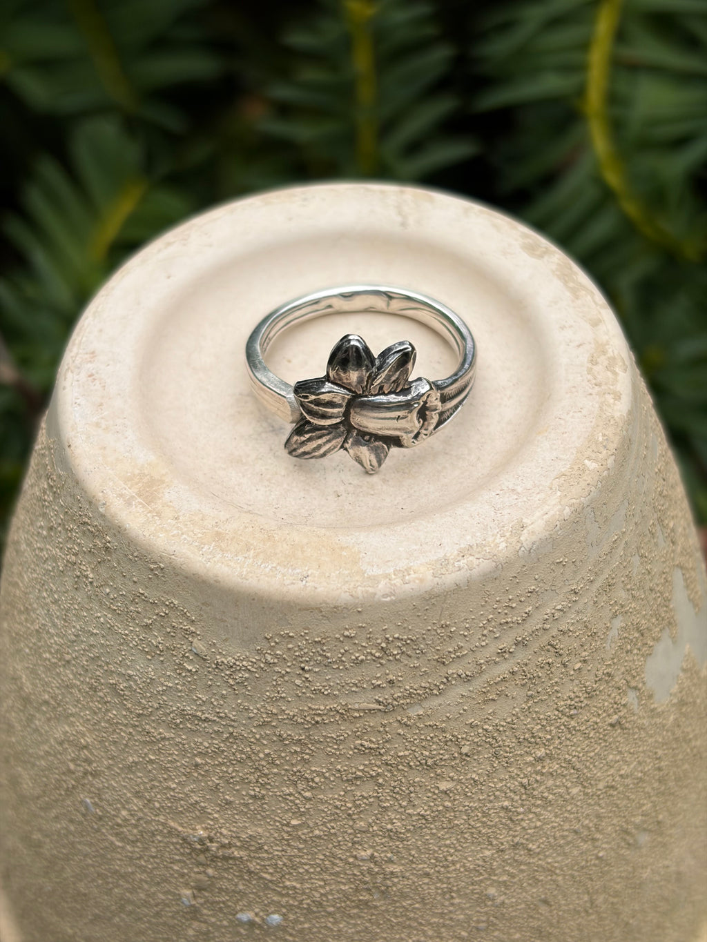 Narcis ring