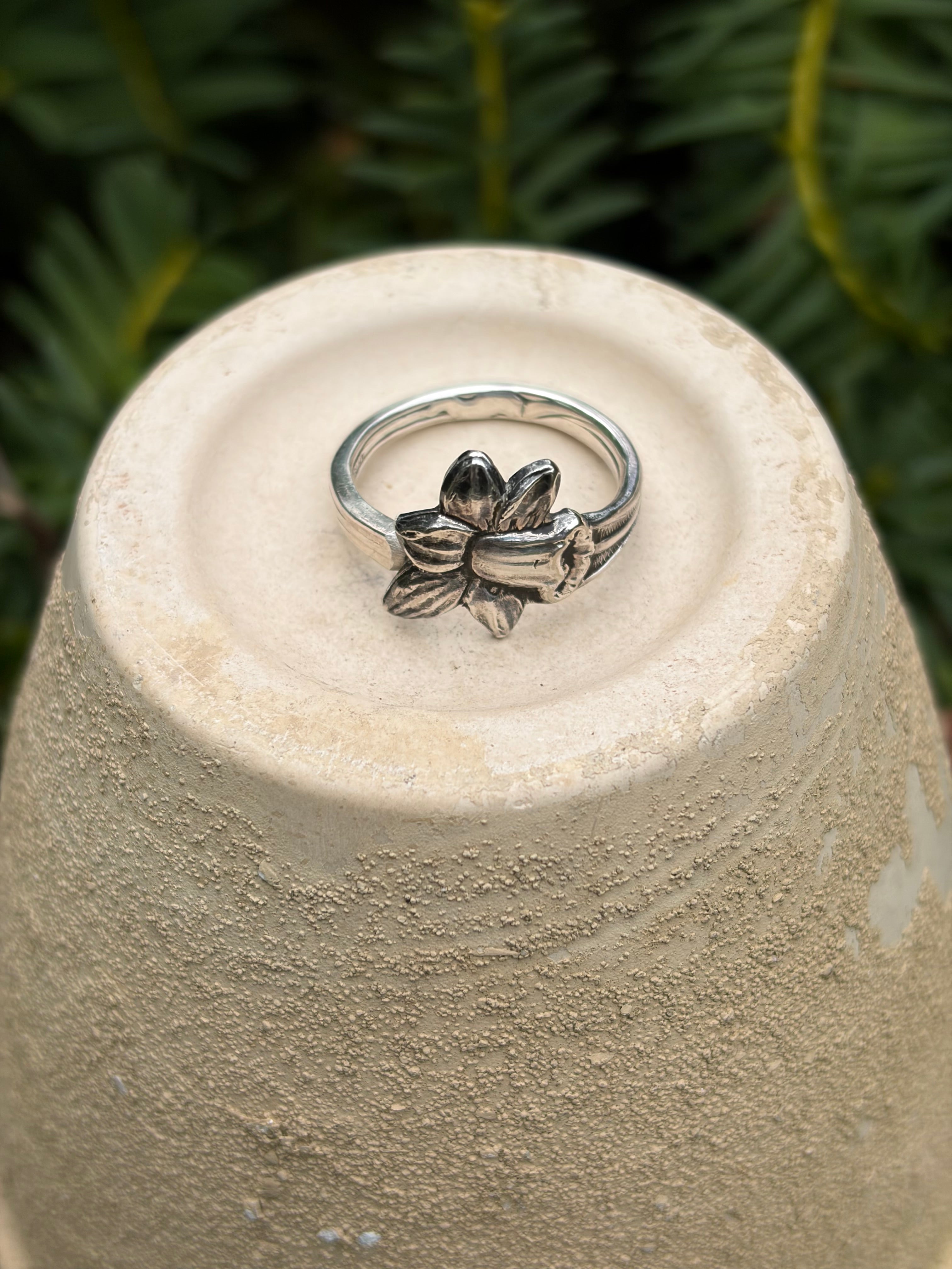 Narcis ring
