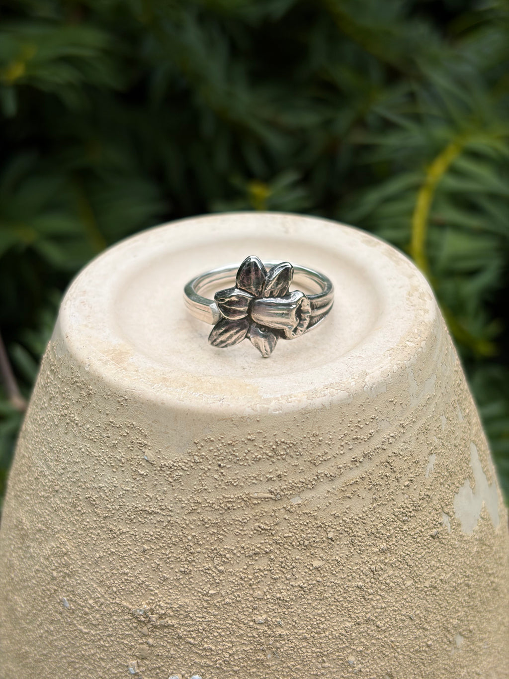 Narcis ring