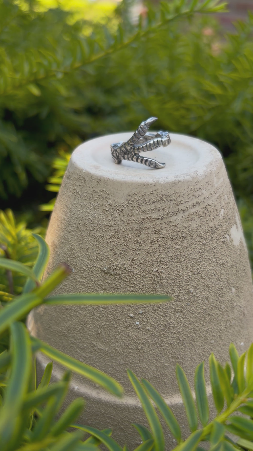 Claw ring